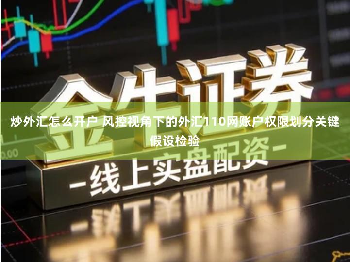 炒外汇怎么开户 风控视角下的外汇110网账户权限划分关键假设检验